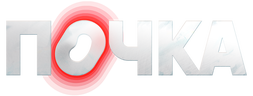Почка